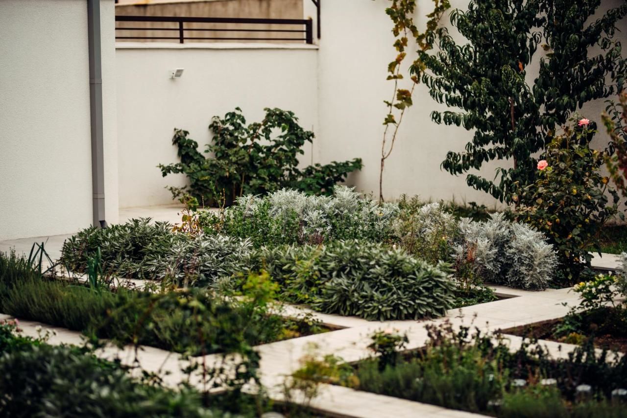 Гостевой дом Veronika Home Tbilisi Тбилиси-35