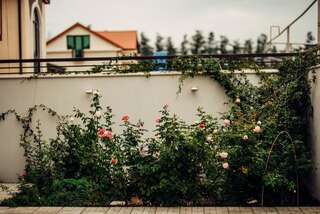 Гостевой дом Veronika Home Tbilisi Тбилиси Двухместный номер с 1 кроватью и общей ванной комнатой-3