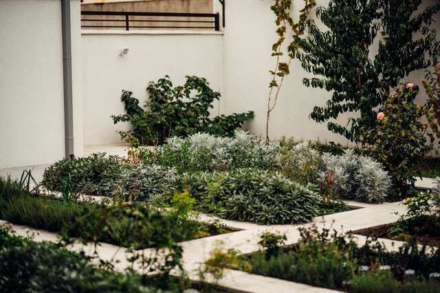 Гостевой дом Veronika Home Tbilisi Тбилиси-34